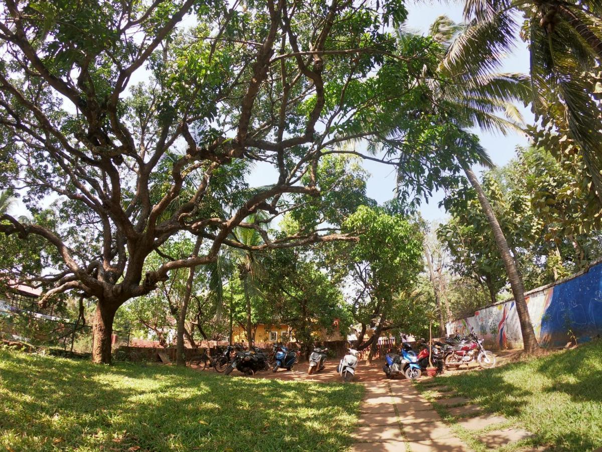 Gaia Hostels Anjuna Luaran gambar
